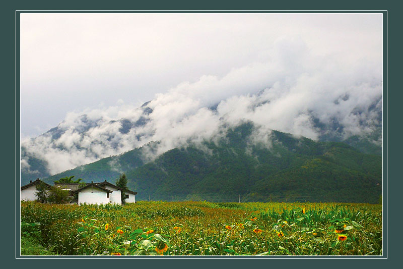 白云山舍 摄影 与世无争