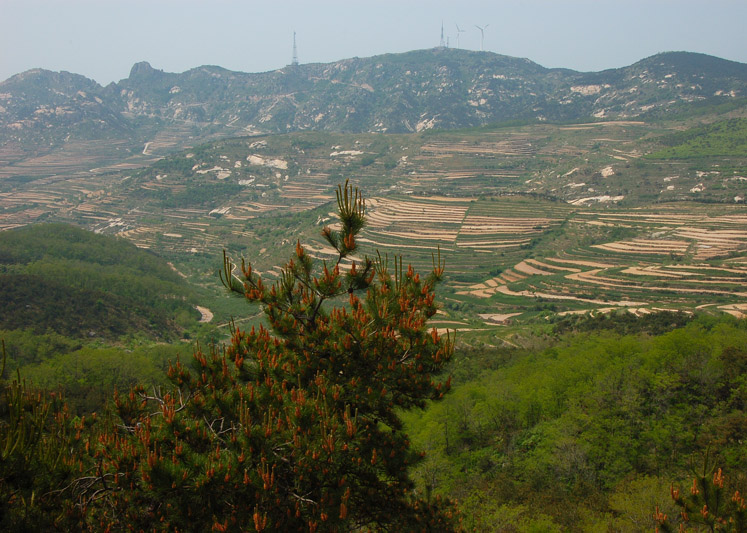 地雷战故乡  招虎山 摄影 白云深沉