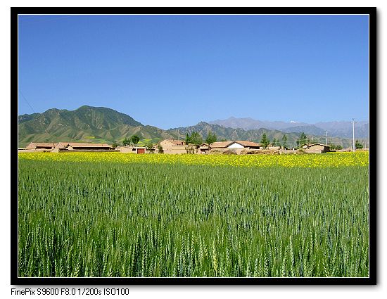 田园风光 摄影 静水听月