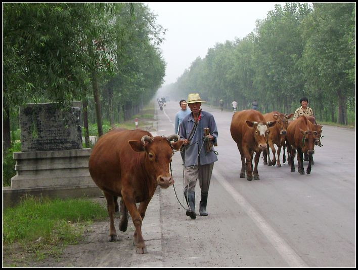 回家 摄影 东风一浪