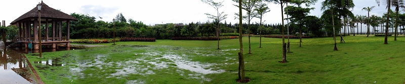 美丽湛江（13）雨后的公园草坪 摄影 快乐天使小钟