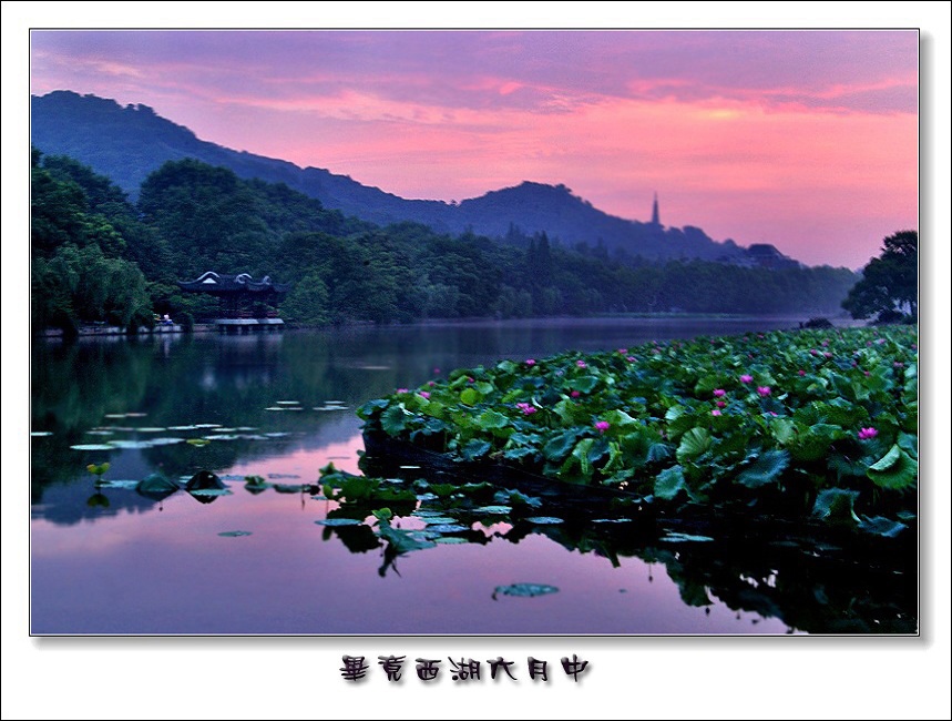 毕竟西湖六月中 摄影 文竹细雨