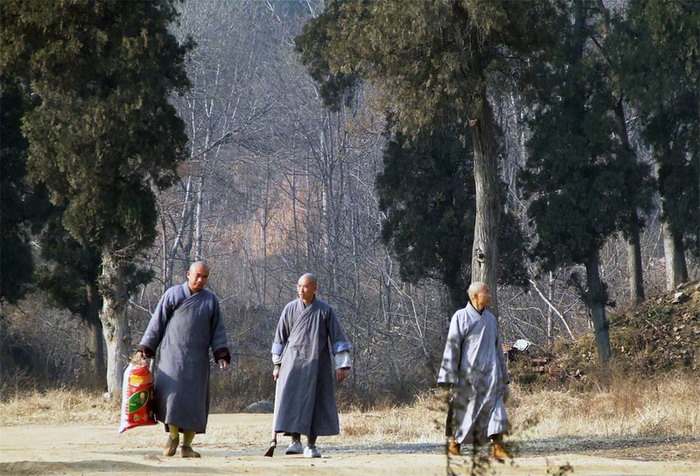 少林寺 摄影 月狼