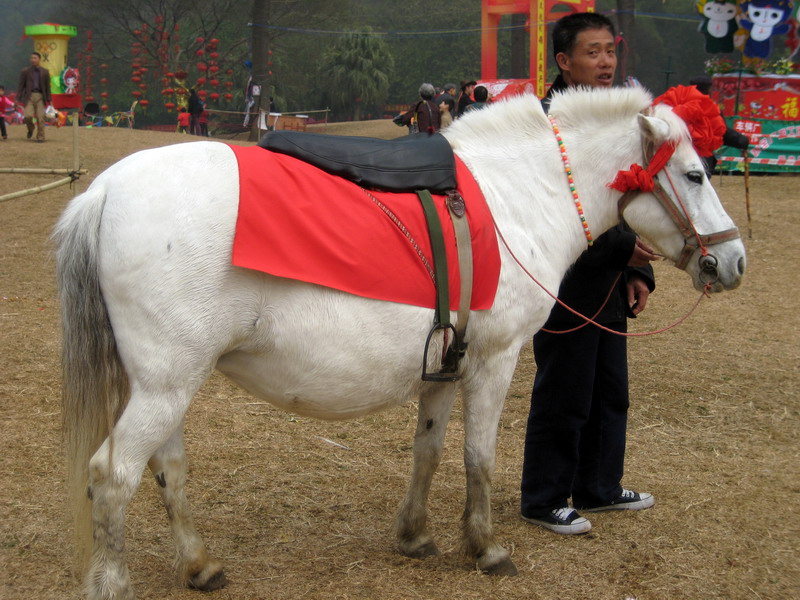 白马王子 摄影 i淘淘淑女