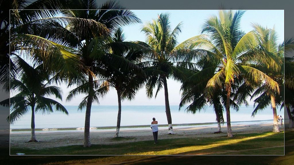 清晨的海风 摄影 思想家