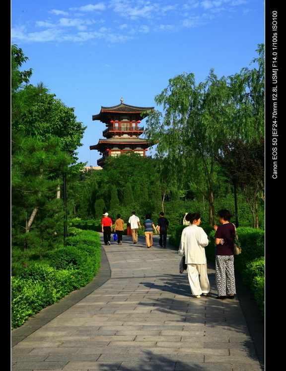 西安丰庆公园美景（3) 摄影 子午君