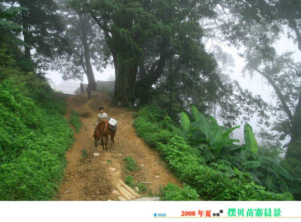 摆贝苗寨晨景 摄影 青5532