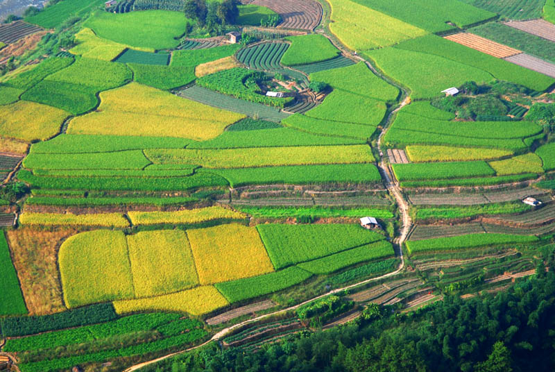 五彩田园 摄影 霞湖客