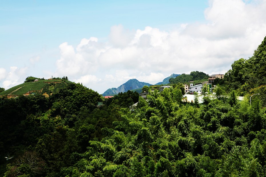 宝岛风光--美丽的阿里山 摄影 秦川牛