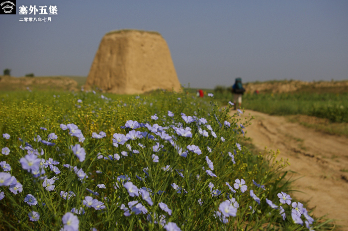 陌上花 摄影 小栏花木