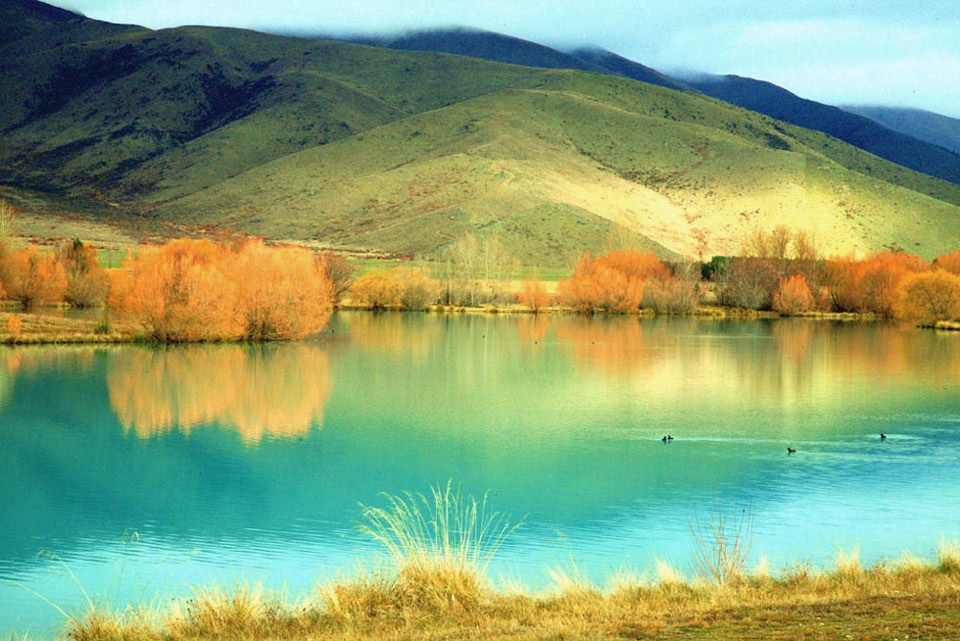 2008澳纽行一一蒂卡波湖(Lake Tekapo) 摄影 都市幻影