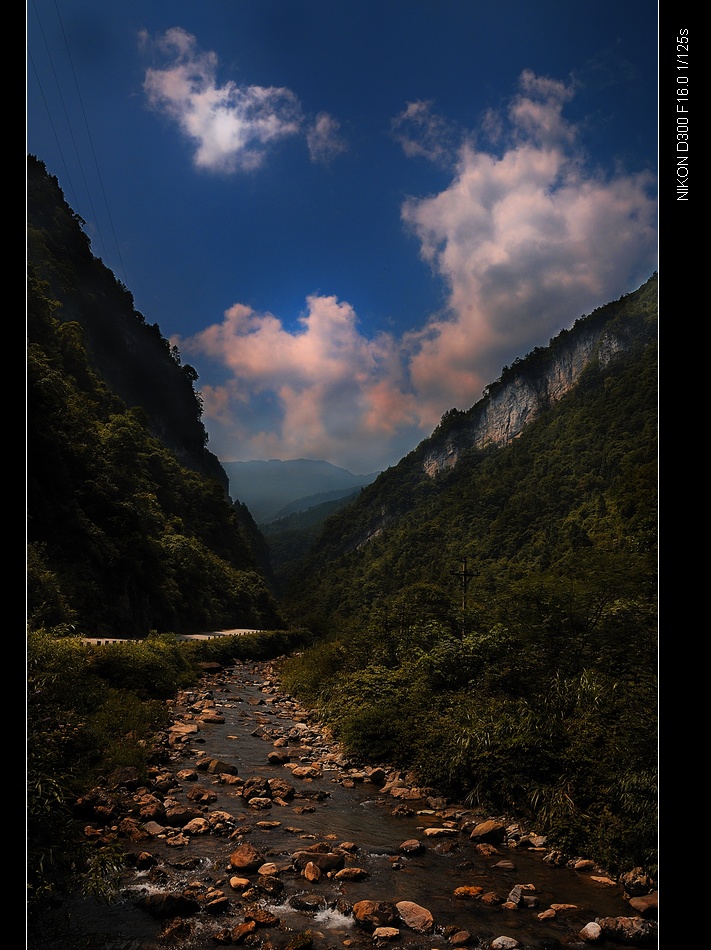 金佛山风光(修改) 摄影 惹却