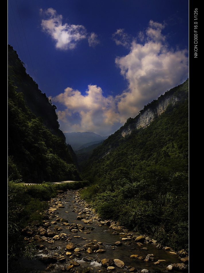 金佛山风光 摄影 惹却