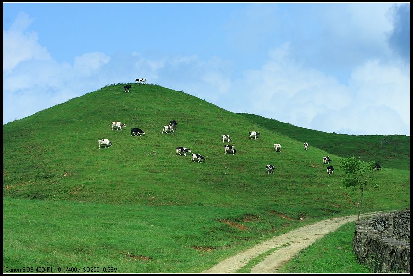 南山风光1 摄影 土木人