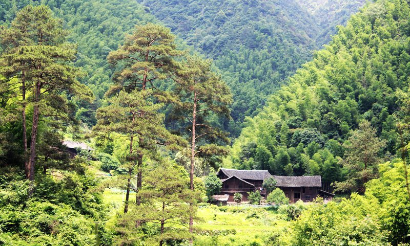 山涧风景2 摄影 轻轻杨柳