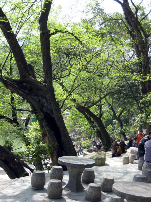 鱼峰山公园一角 摄影 i淘淘淑女