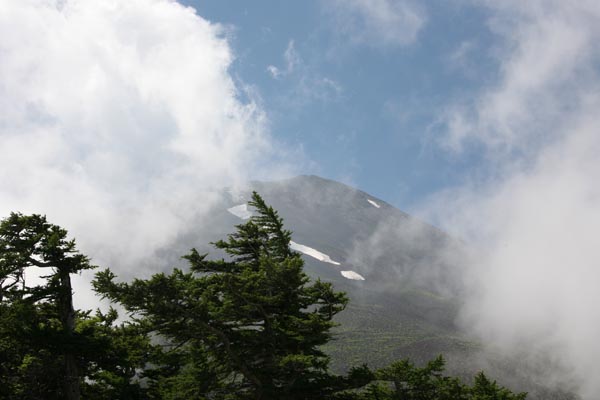 夏季富士山 摄影 红叶123