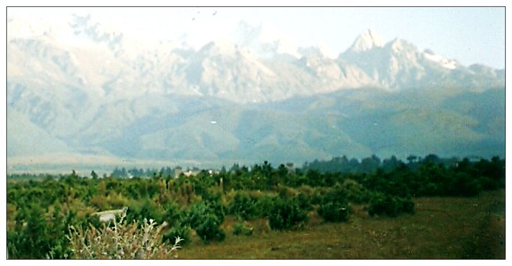 丽江－冰山 摄影 鲁戎