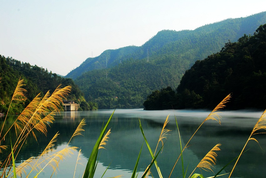 东江早晨 摄影 卧龙居