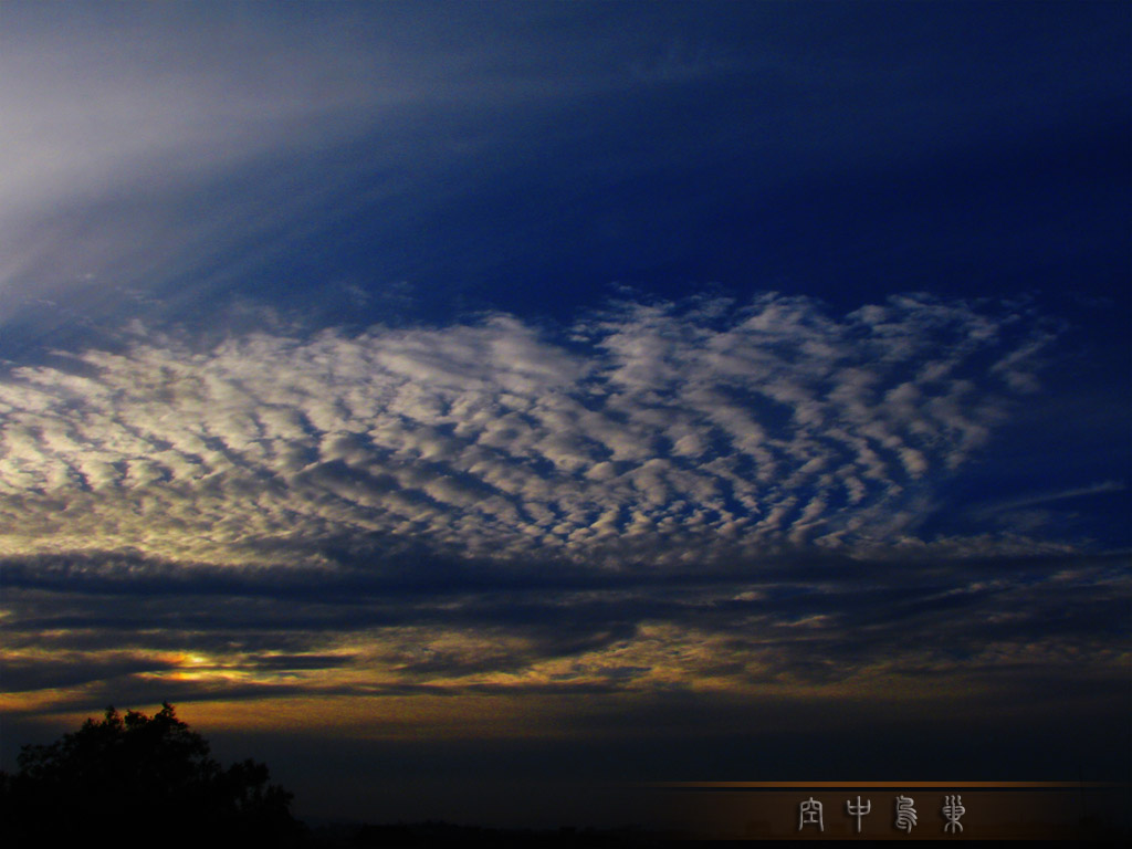 鸟巢 摄影 Jine