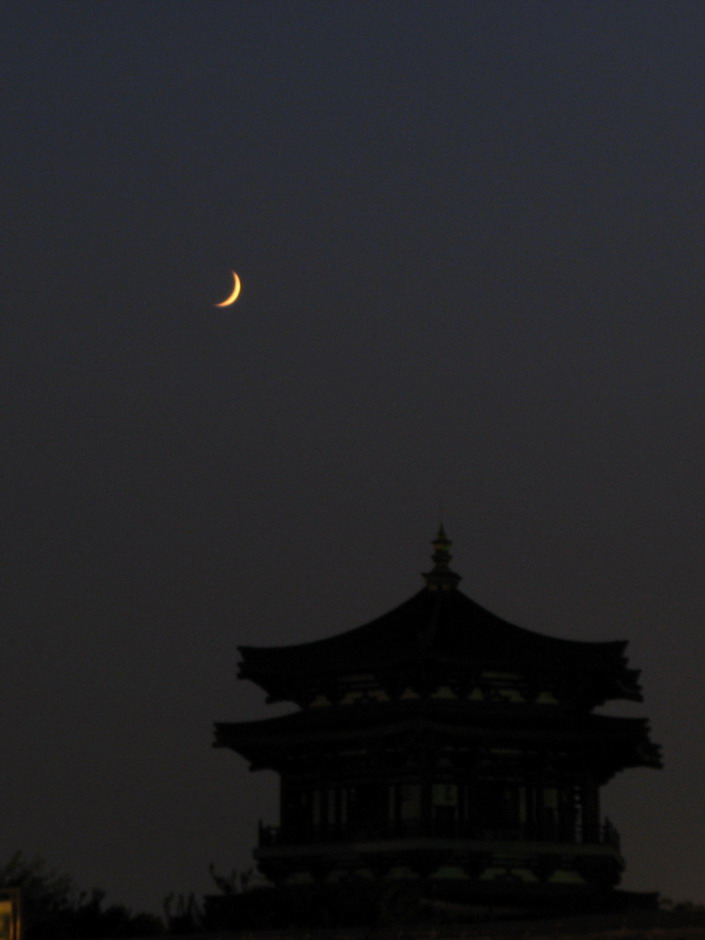 大唐芙蓉园  月夜 摄影 李建广