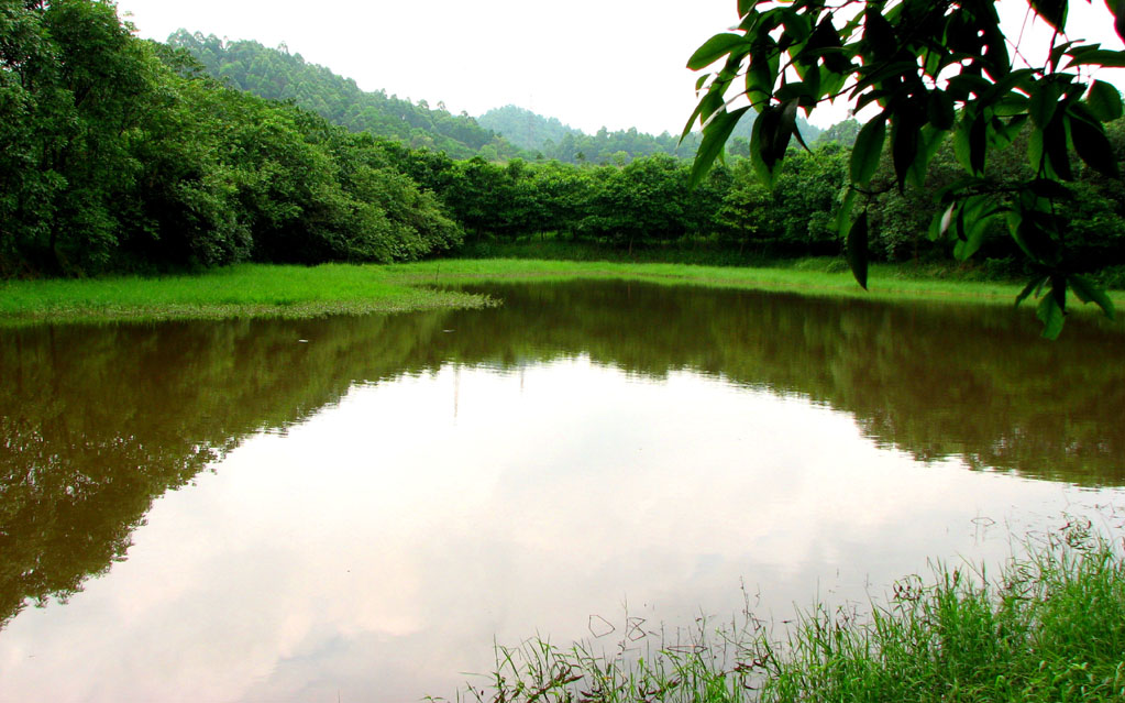 空山新雨后 摄影 WASON