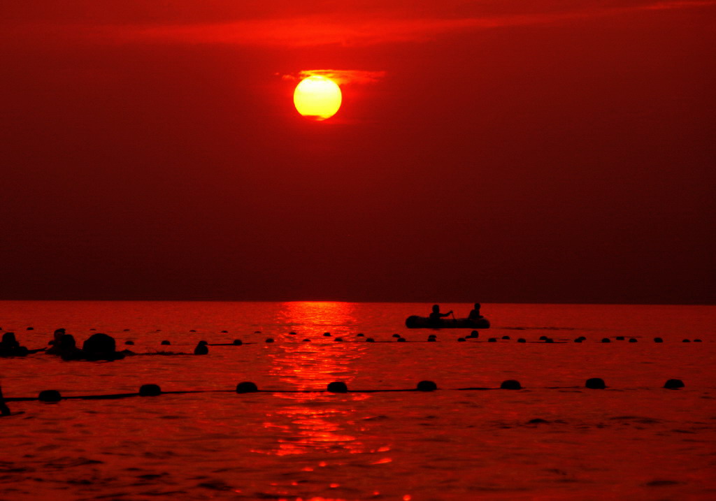 海上日落 摄影 非洲长颈鹿