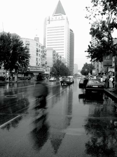 雨中的沈阳 摄影 渭水垂竿