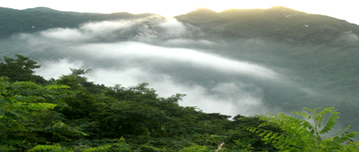 鸡公山晨曦 摄影 陋石