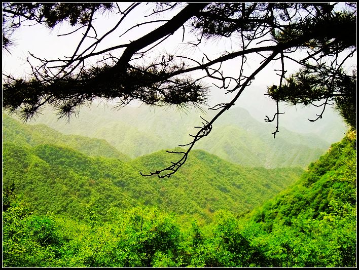 我在西安的游玩~ 摄影 竹昱