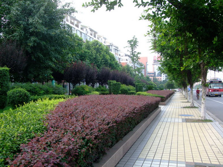 德阳街景2 摄影 久藏