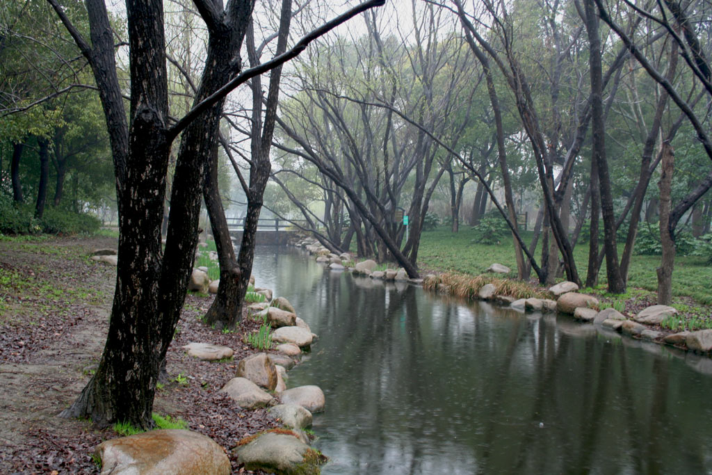 昨夜春雨入梦来 摄影 思灵山人