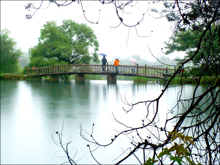 雨中风景 摄影 lzy9290