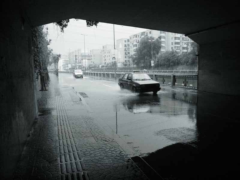 雨中的沈阳--------2 摄影 渭水垂竿