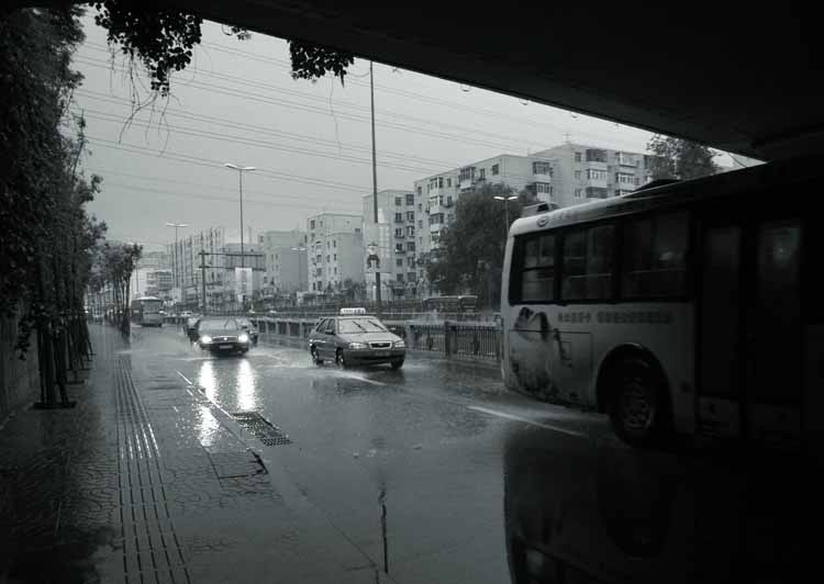 雨中的沈阳-------4 摄影 渭水垂竿