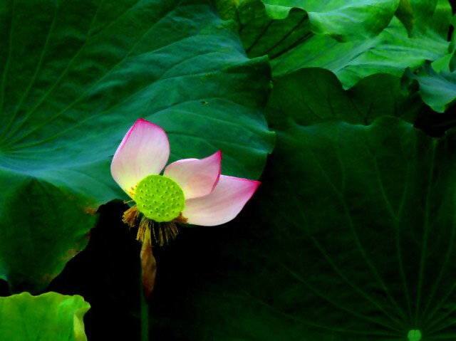 余韵 摄影 荆洲大侠