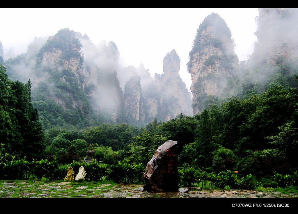 烟雨张家界 摄影 gxlaopan