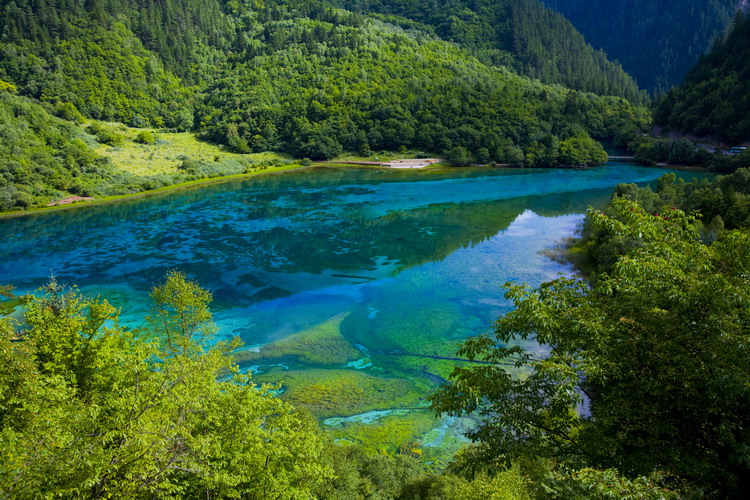 九寨沟印象之七 摄影 走进原野