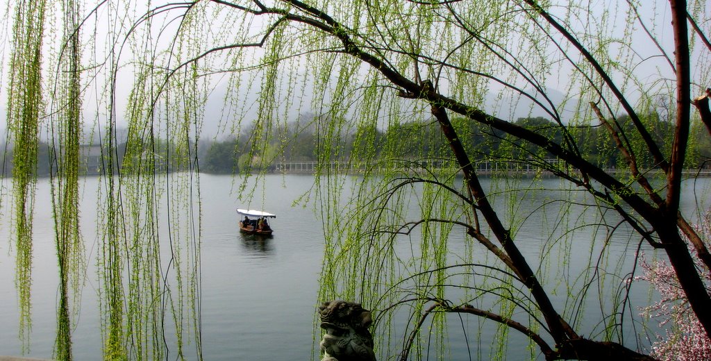 西湖.烟雨蒙蒙 摄影 巴特