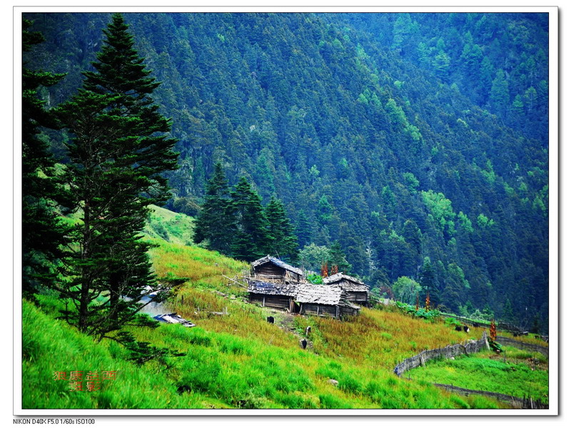 《洛马山牧场》 摄影 狼康益西