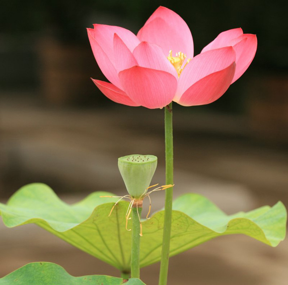 婷立 摄影 动感