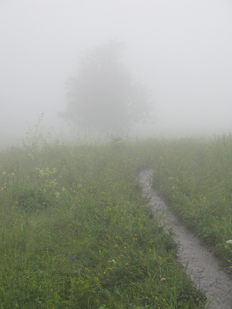 雨中灵山 摄影 苏两漆