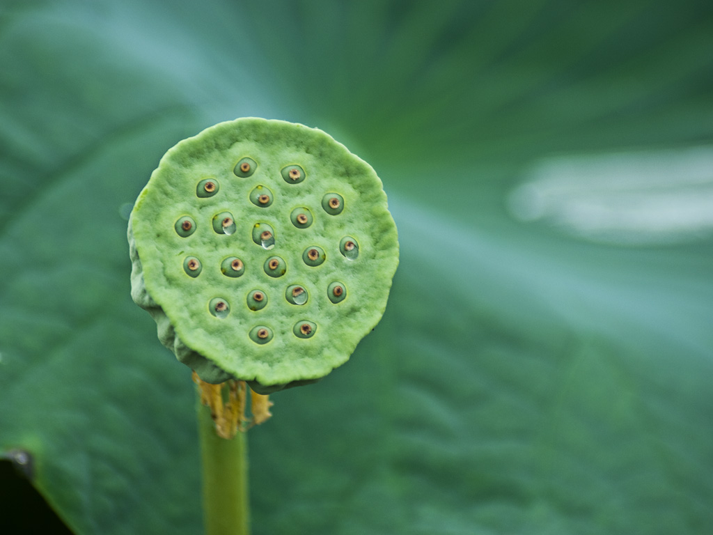 环环相扣 摄影 苗思