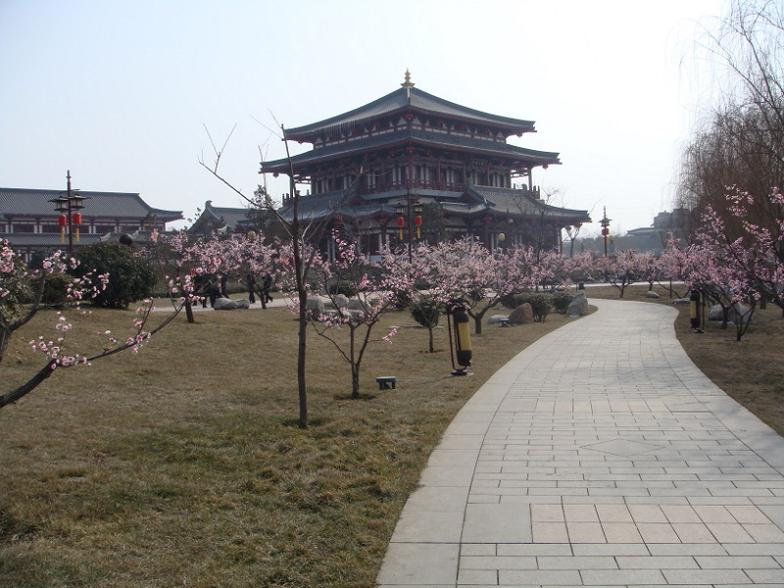 大唐芙蓉园冬景 摄影 冰雪小猫