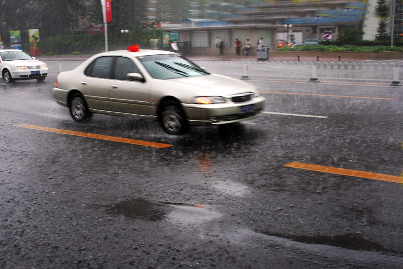 雨洗京城 摄影 寒梅傲雪