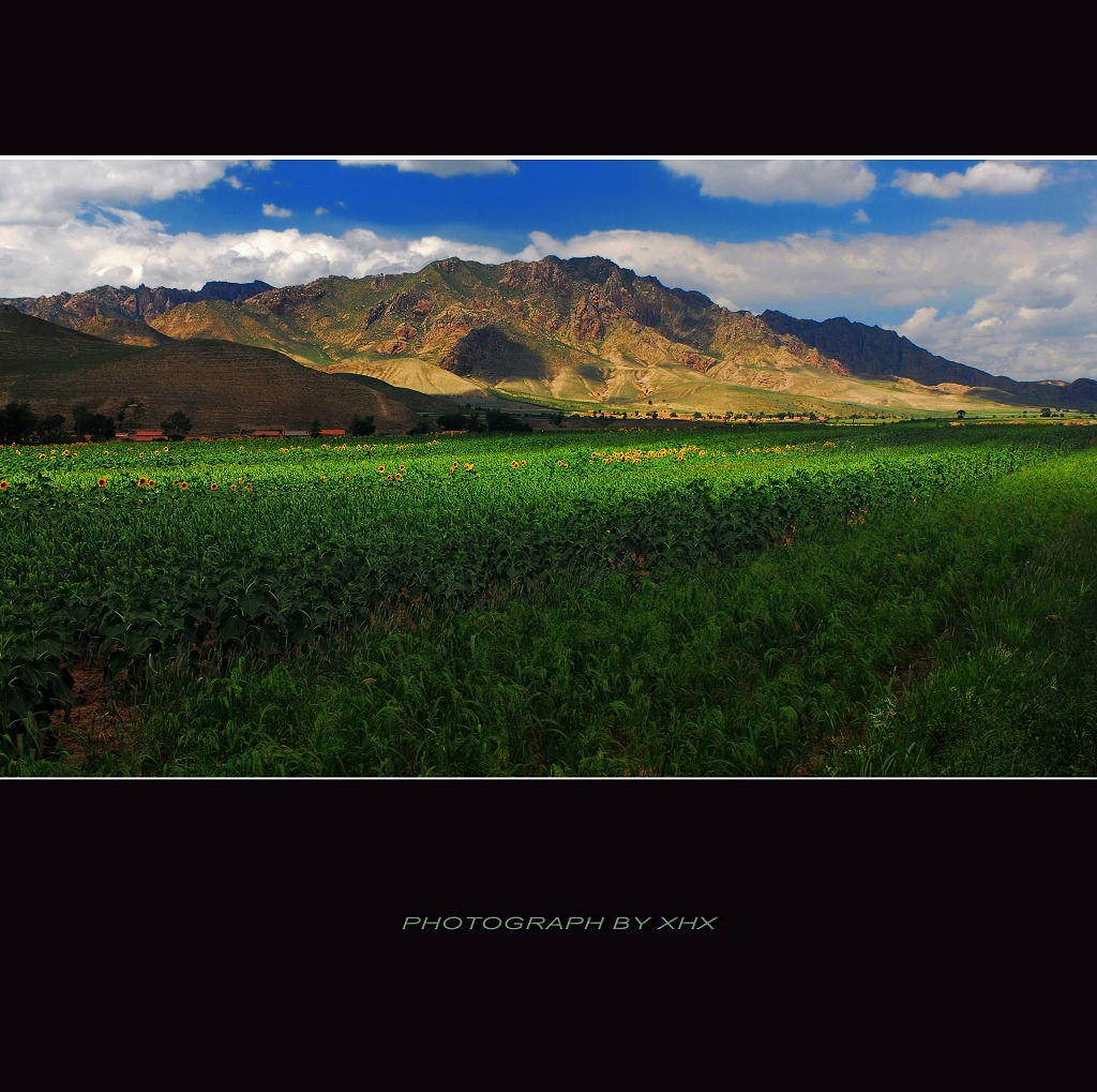 路边的风景 10 摄影 XIHUANXUE