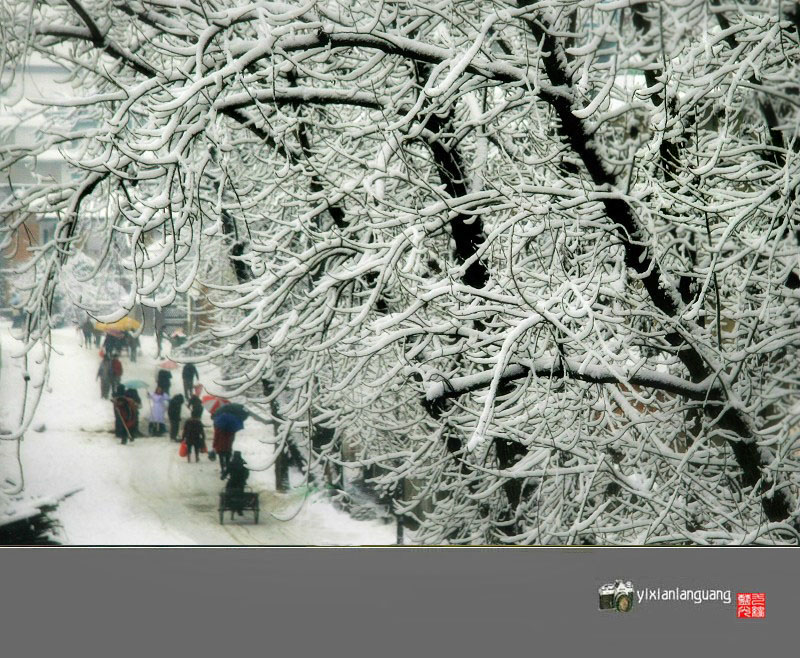 雪 摄影 一线蓝光