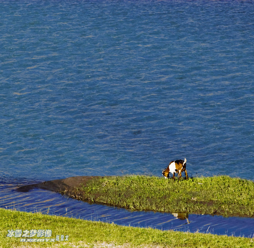 夏日帕米尔－8 摄影 冰雪之梦