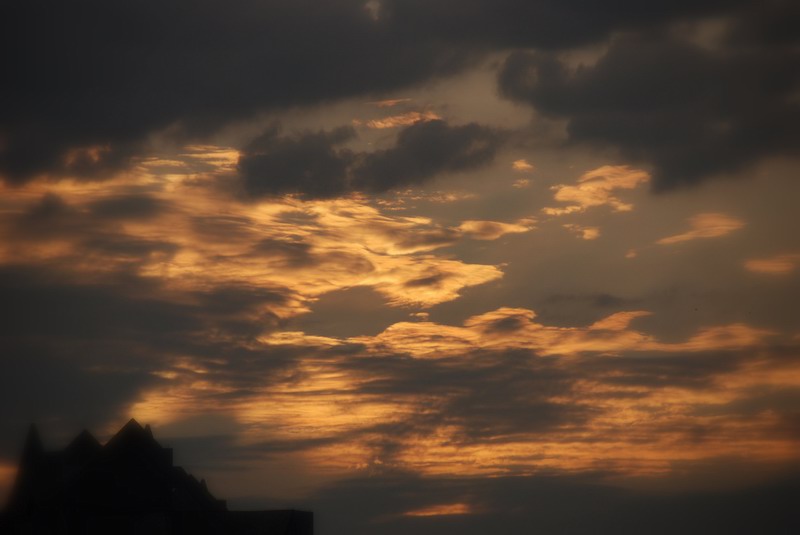 夕阳片片 摄影 baoyibao