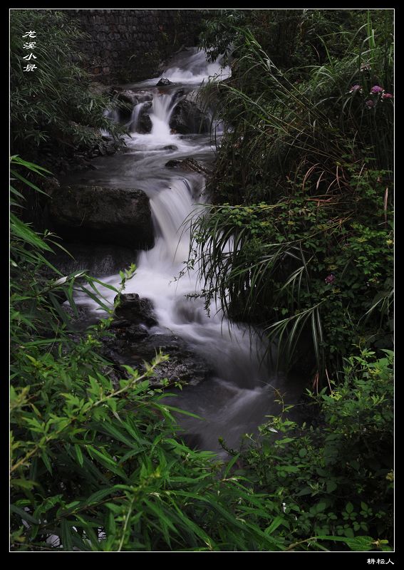 龙溪小景 摄影 耕耘人